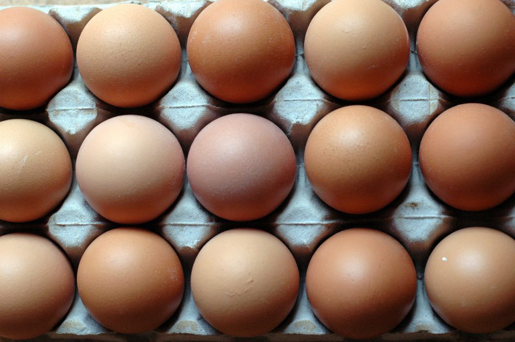 eggs-1668881_1280